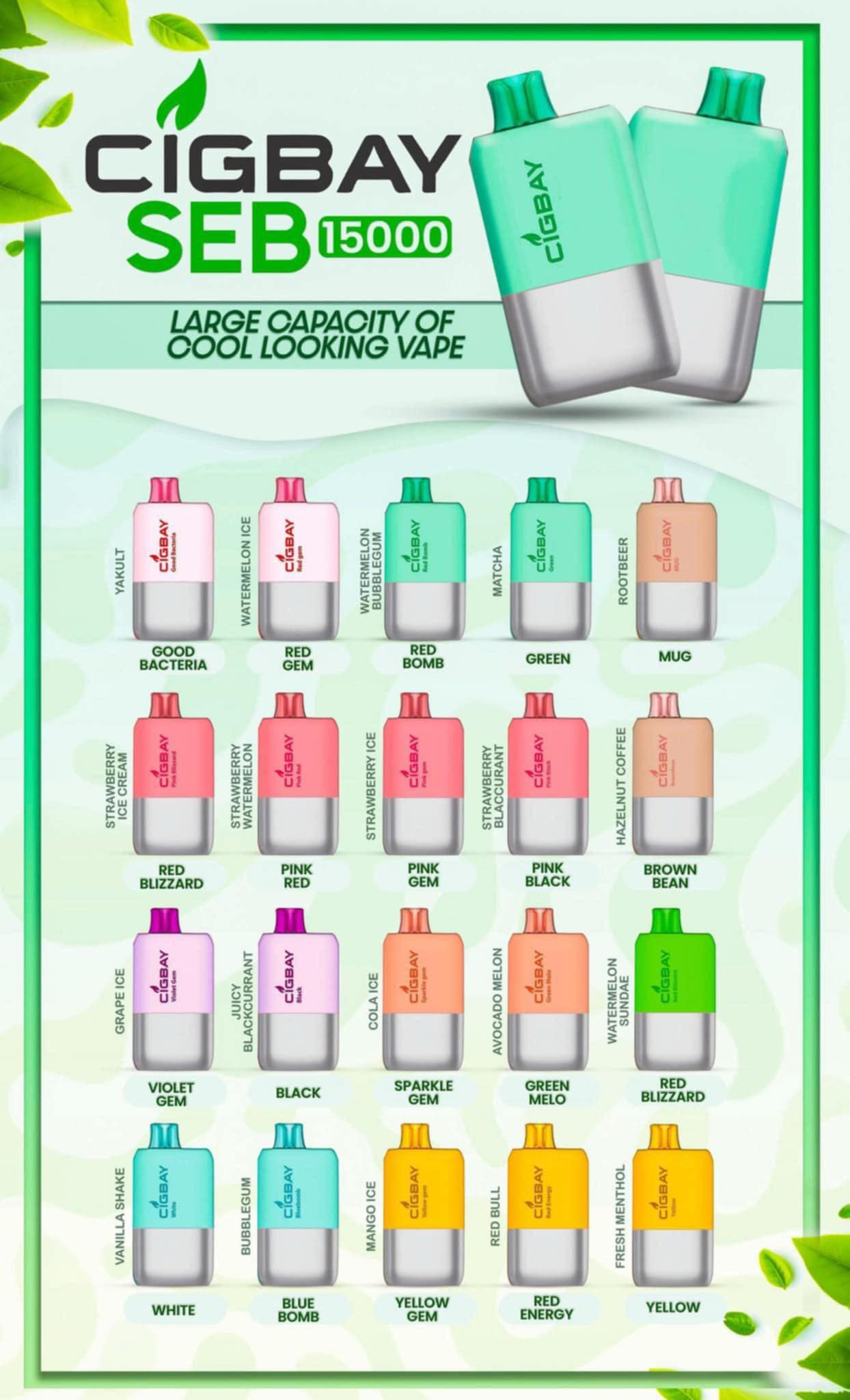 CIGBAY SEB 15000 PUFFS – OX VAPE MAKATI